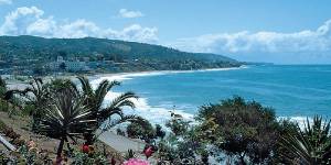 California, University of, IrvineLogo
