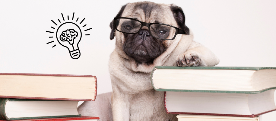 Pug dog wearing glasses with paw on stack of books next to thinking light bulb