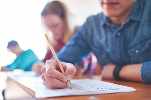 descriptive and narrative essay university library