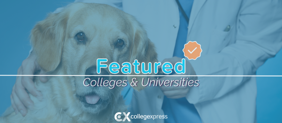 Body of white male vet with arm around Golden retriever, featured schools logo