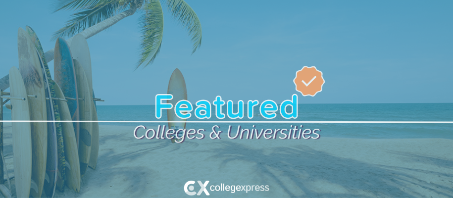 Surfboard stands alone on beach, palm tree, board rack, featured schools logo