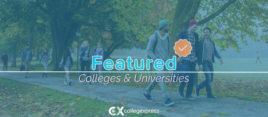 Students walk down foggy tree-lined, leafy sidewalk, featured schools logo