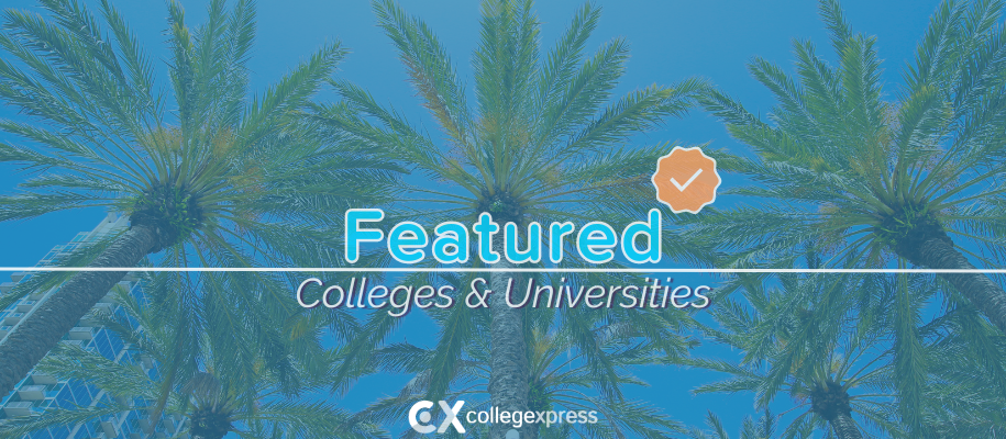 Undershot of palm trees, blue sky, and building in Tampa, featured schools logo