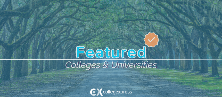 Famous historic road in Savannah, lined with willow trees, featured schools logo