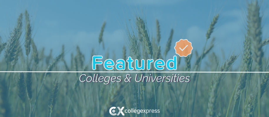 Close-up of wheat stalks in field, blue cloudy sky, featured schools logo