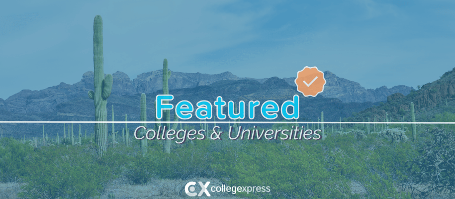 Desert mountains in Arizona with brush and cacti