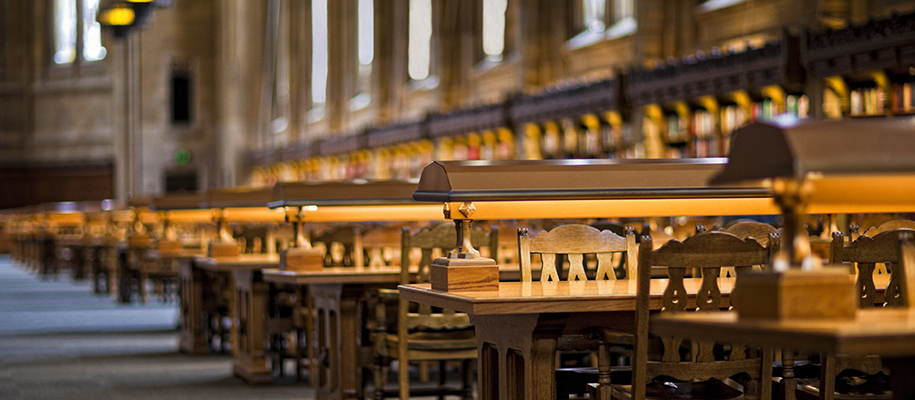 Long wooden table with long table lamps in stone library