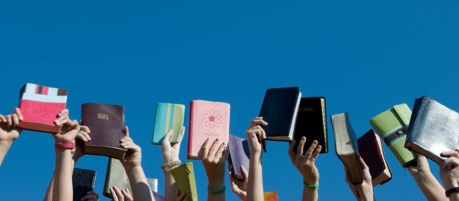 Arms golding up Bibles with various covers to a clear blue sky