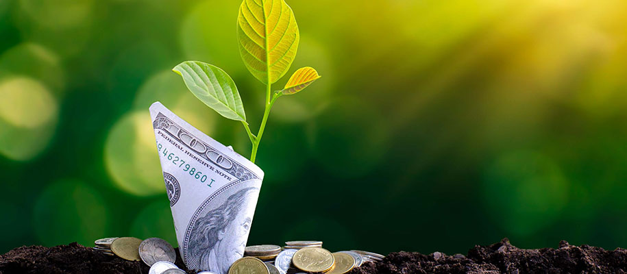 $100 bill circling leafy sprout growing in dirt and coins against green backdrop