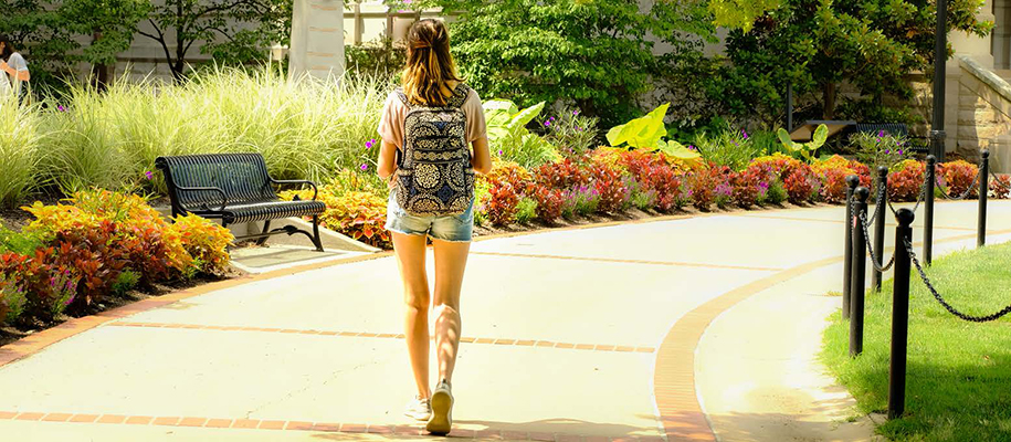 Back of White young woman walking on sunny campus with backpack