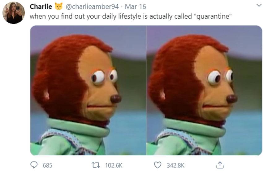 10 Of The Best Quarantine Memes So Far Collegexpress