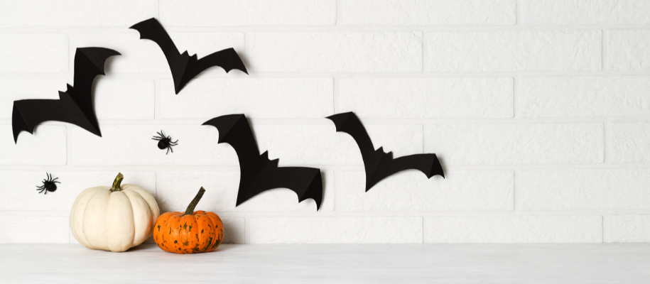 Paper bats, plastic spiders & mini white and orange pumpkins against dorm wall