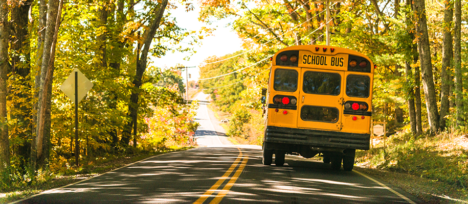 School bus driving down sunny, tree-covered road in autumn