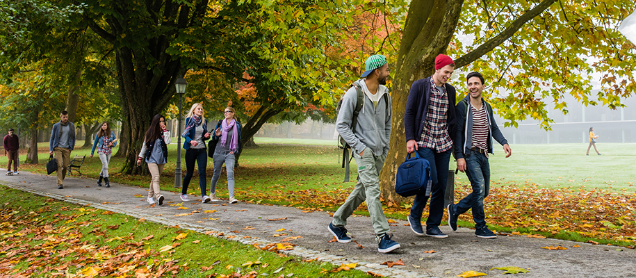 Groups of students walking on tree-lined, leafy sidewalk in foggy fall weather