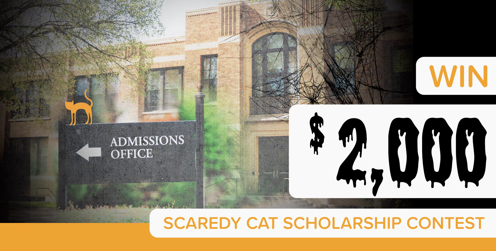 Scaredy Cat Scholarship