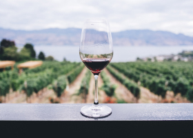 Colleges With Notable Wine Making Programs