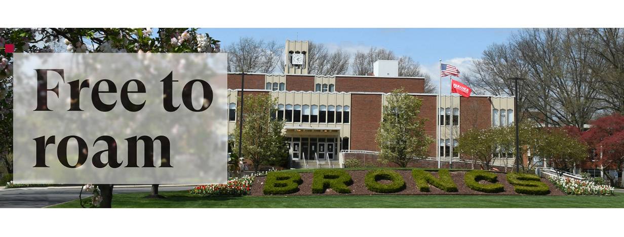 rider university rider university
