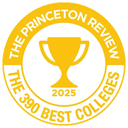 Princeton Review badge