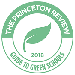  Princeton Review badge