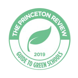 Princeton Review badge